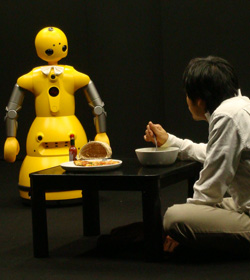 CAL_20121113_robot_main